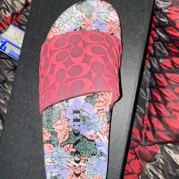 Coach Slides - Picture 3 of 5